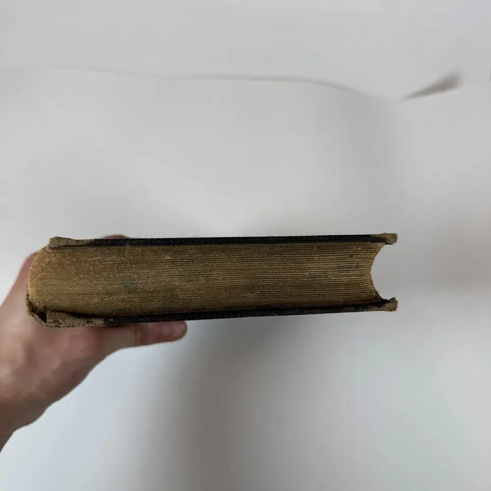 Biblical Commentary on the Book of Job Vol II by F. Delitzsch 1872 Antique Book